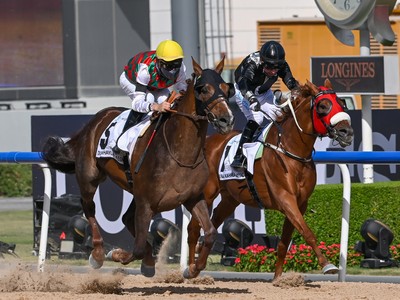 Review: French-Bred Deryan Takes Home Gr.1 Dubai Kahayla ... Image 1